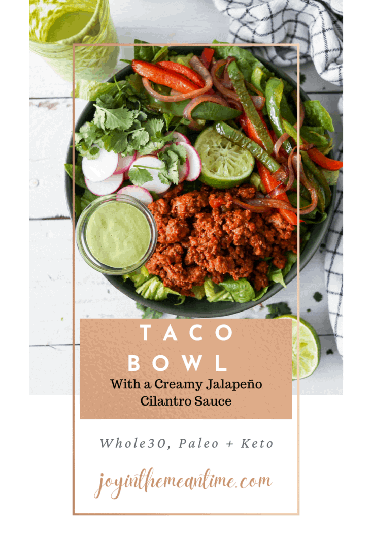 Salt Free Taco Seasoning Recipe (Paleo, Keto, Whole 30)