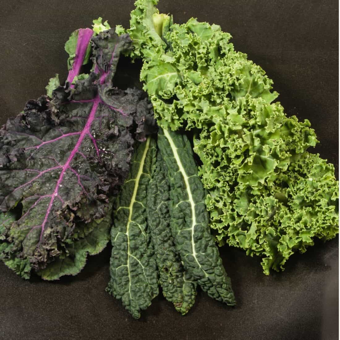 kale varieties