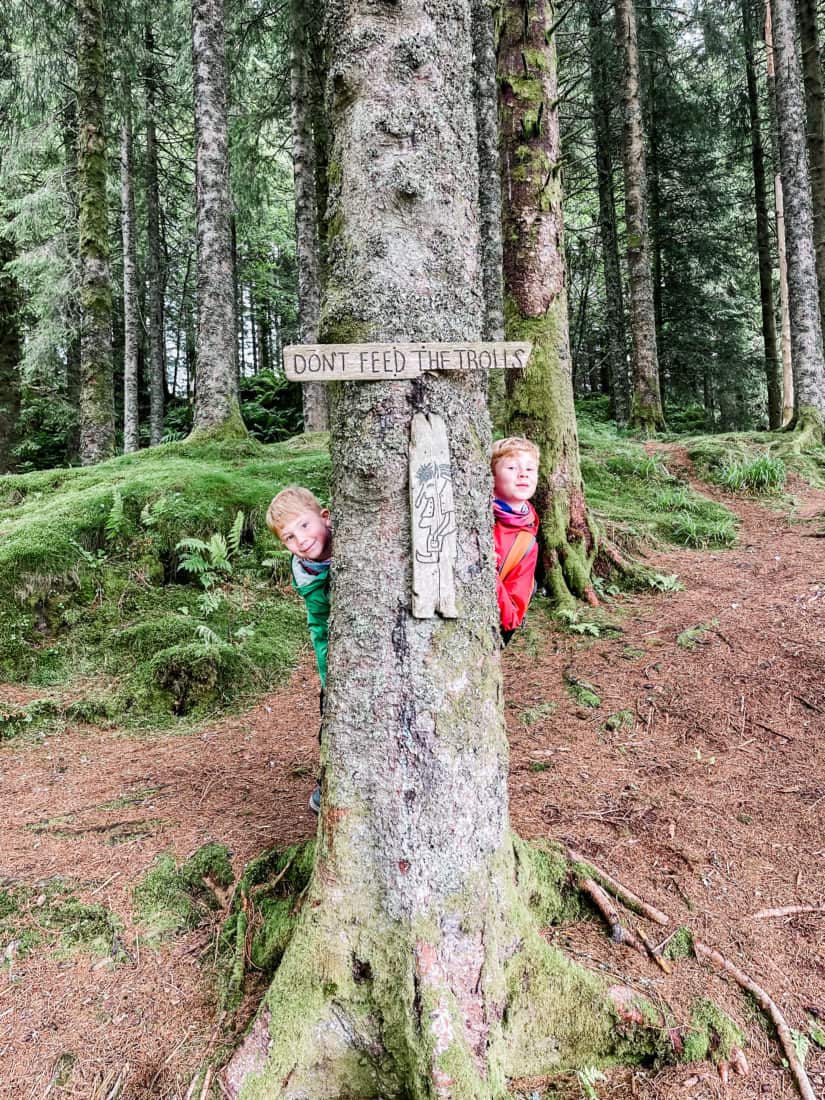 two boys peaking out from behind a tree with a sign reading "don't feed the trolls"
