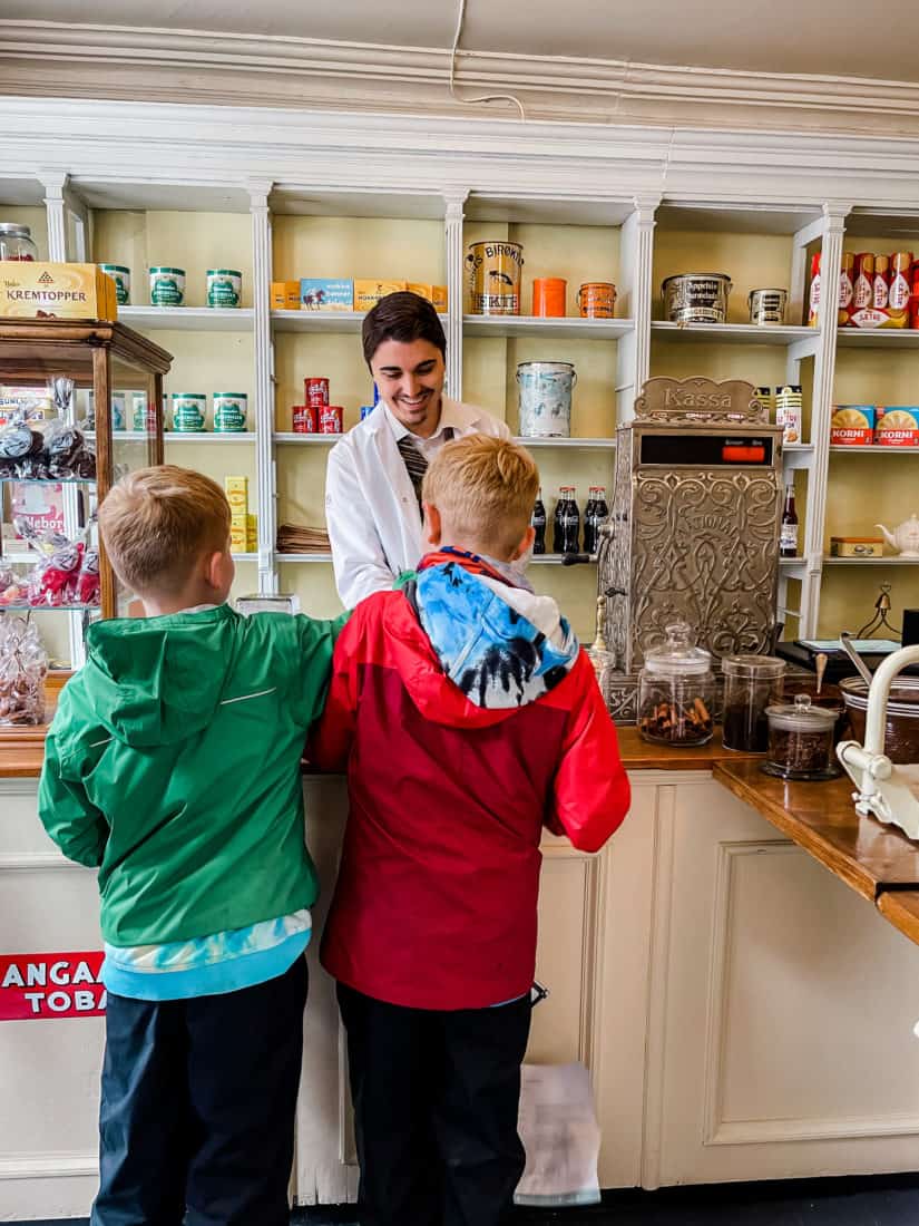 two boys at the counter of a candy shop