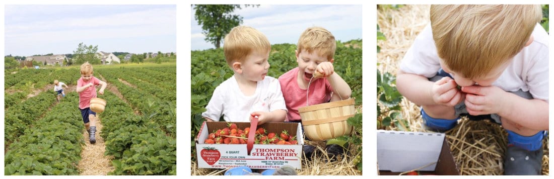 kids picking strawberries 